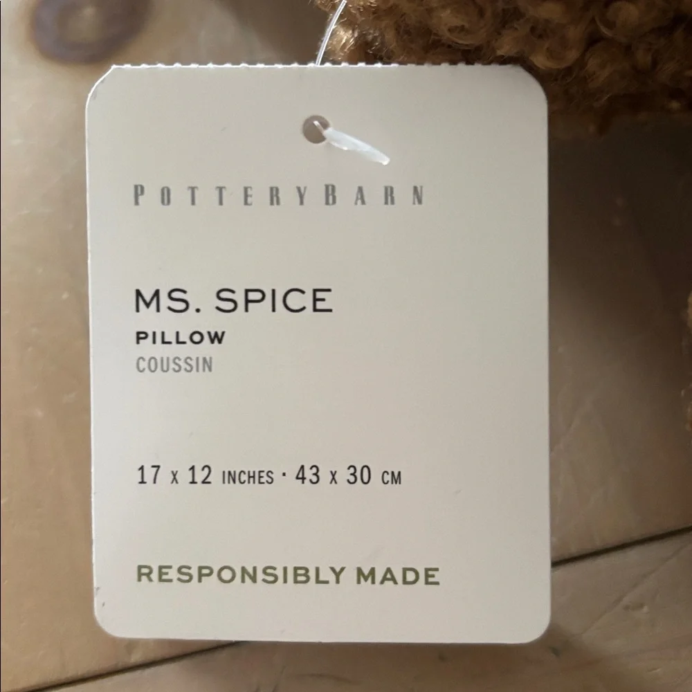 Pottery Barn Ms. Spice Gingerbread Pillow